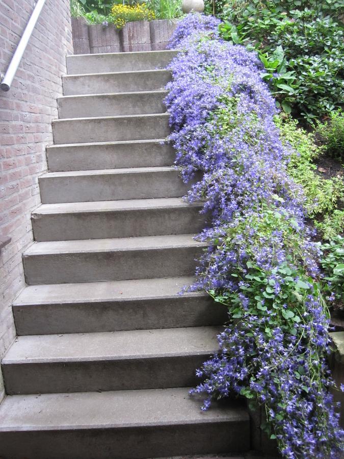 B&B De Groene Brug 代尔登 外观 照片